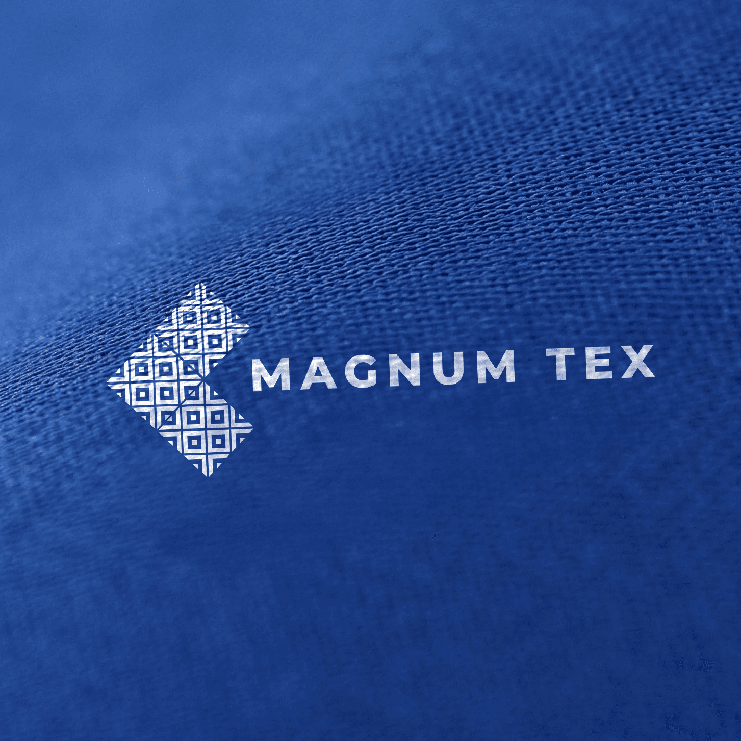 Logo Design Showcase 1