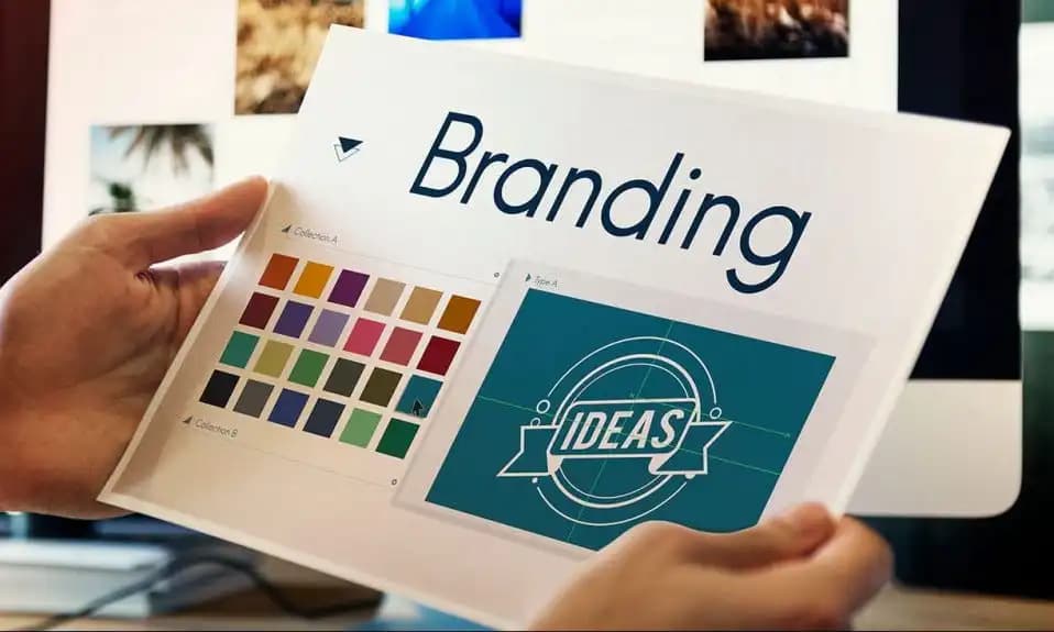Brand Identity Design — branding colour swatches