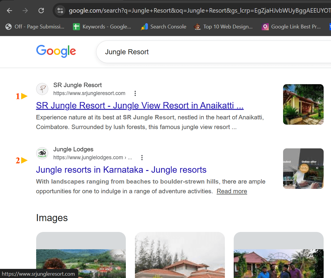 Jungle Resort